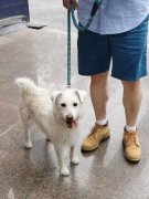 <b>成为一名房产达人起首需要具备结实的专业</b>